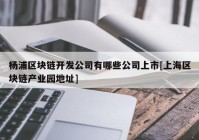 杨浦区块链开发公司有哪些公司上市[上海区块链产业园地址]